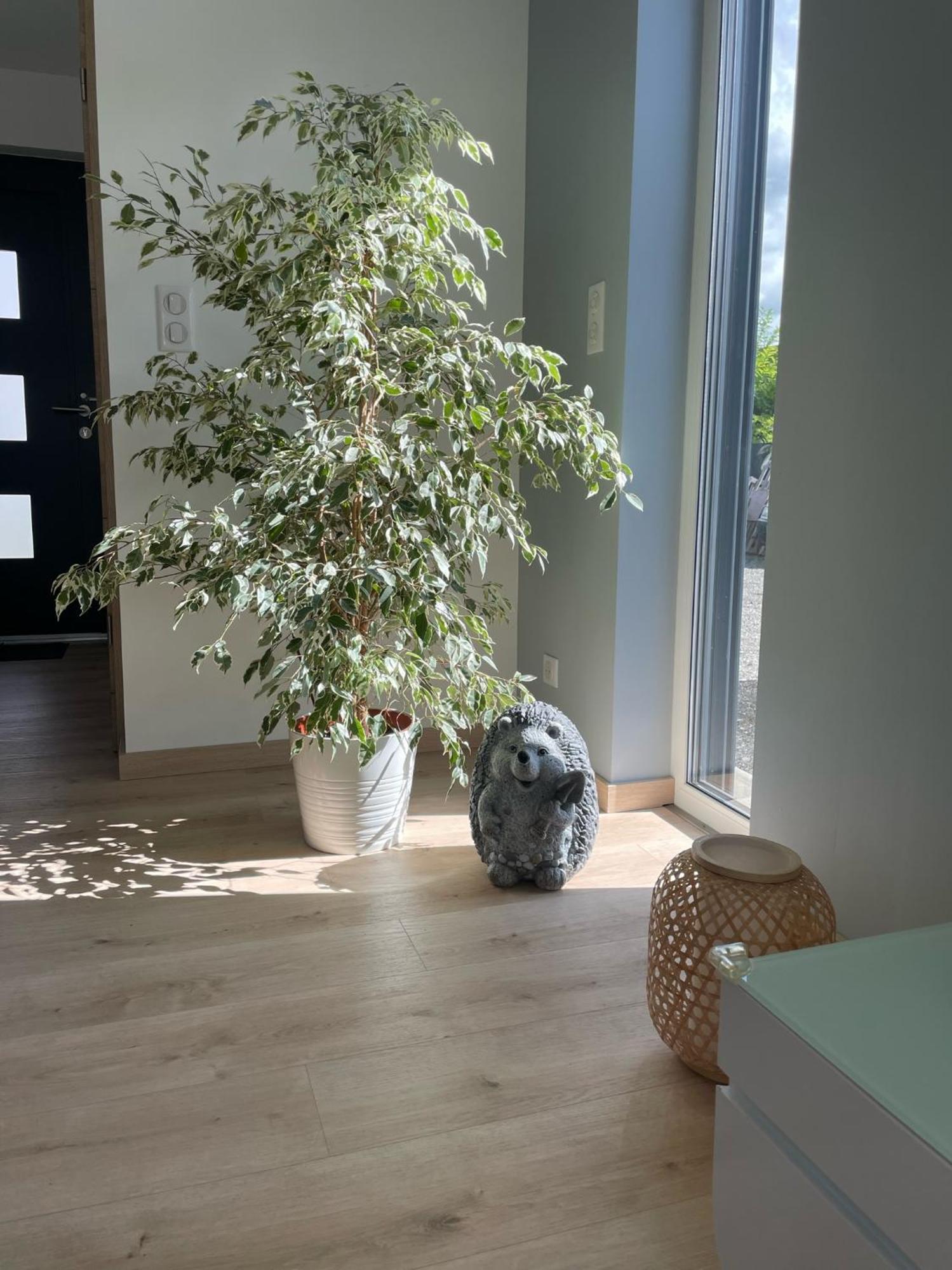 Maison Spacieuse Proche Strasbourg Ostwald Ngoại thất bức ảnh
